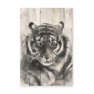 Dřevěná nástěnná dekorativní cedule Surdic Watercolor Tiger, 40 x 60 cm