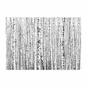 Velkoformátová tapeta Artgeist Birch Forest, 400 x 280 cm
