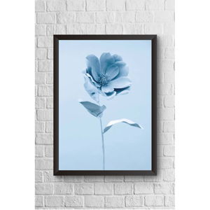 Nástěnný obraz v rámu Piacenza Art Blue Flower Alone, 23 x 33 cm