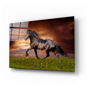 Skleněný obraz Insigne Nobility of the Horse, 110 x 70 cm
