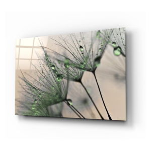 Skleněný obraz Insigne Green Dandelion, 72 x 46 cm