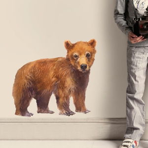 Znovu snímatelná samolepka Bear, 50x46 cm