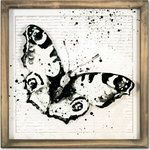 Autronic Obraz motýl OBX1047