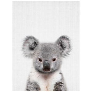 Plakát Blue-Shaker Baby Animals Koala, 30 x 40 cm