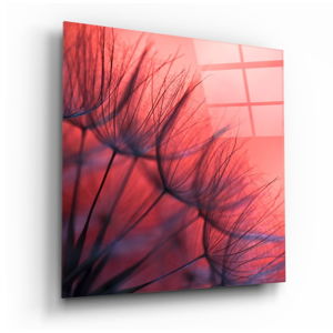 Skleněný obraz Insigne Red Dandelion, 40 x 40 cm