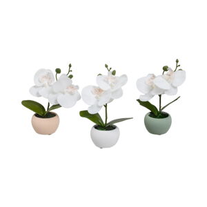 Umělé rostliny v sadě 3 ks (výška 15 cm) Orchid – Casa Selección