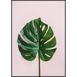 Plakát Imagioo Monstera Leaf, 40 x 30 cm