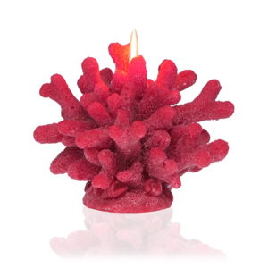 Dekorativní svíčka ve tvaru korálu Versa Coral