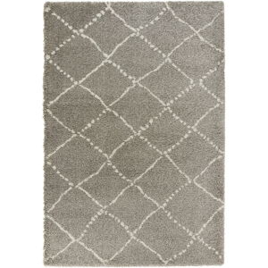 Šedokrémový koberec Mint Rugs Allure Ronno Grey Creme, 160 x 230 cm