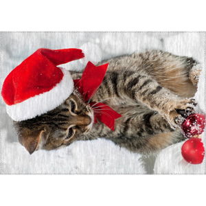 Koberec Vitaus Christmas Period Kitten, 50 x 80 cm