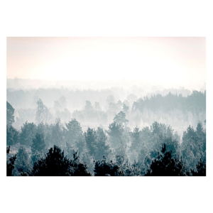 Velkoformátová tapeta Bimago Winter Forest 400 x 280 cm