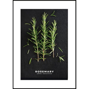 Plakát v rámu 50x70 cm Rosemary – Styler