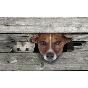 Podložka pod rohožku Esschert Design Dog & Cat, 45,5 x 76 cm