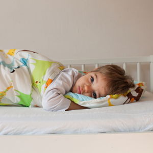 Dětský spací pytel Bartex Design Barevná zvířátka, 70 x 180 cm