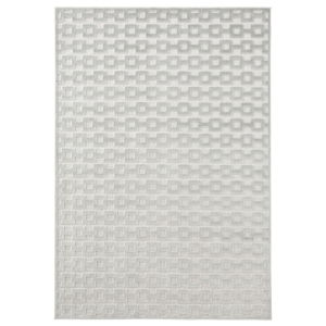 Světle šedý koberec Mint Rugs Shine, 80 x 125 cm