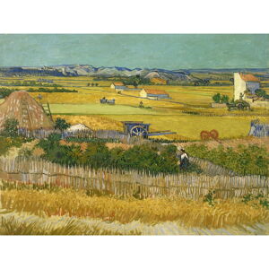 Obraz - reprodukce 40x30 cm The Harvest, Vincent van Gogh – Fedkolor