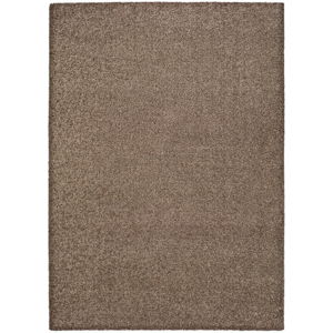 Tmavě hnědý koberec Universal Princess, 290 x 200 cm
