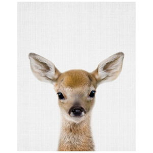 Plakát Blue-Shaker Baby Animals Deer, 30 x 40 cm