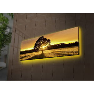 Podsvícený obraz Ledda Tree, 90 x 30 cm