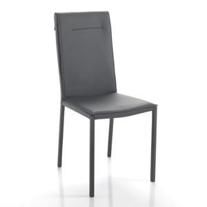 Sada 2 šedých jídelních židlí Tomasucci Camy