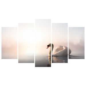 Vícedílný obraz na plátně Swan